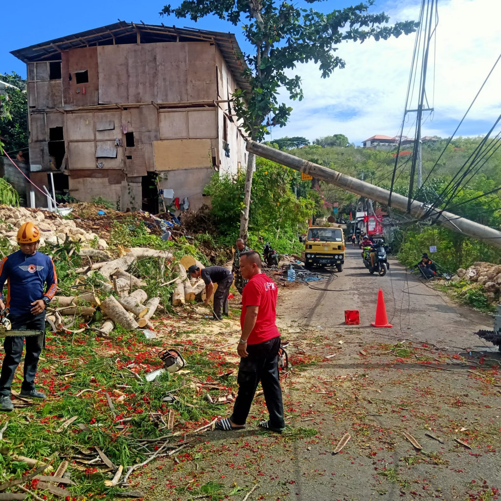 Pohon Tumbang di Jalan Pantai Balangan, Br. Cengkiling, Kel. Jimbaran, Kecamatan Kuta Selatan Tanggal 04 Desember 2023